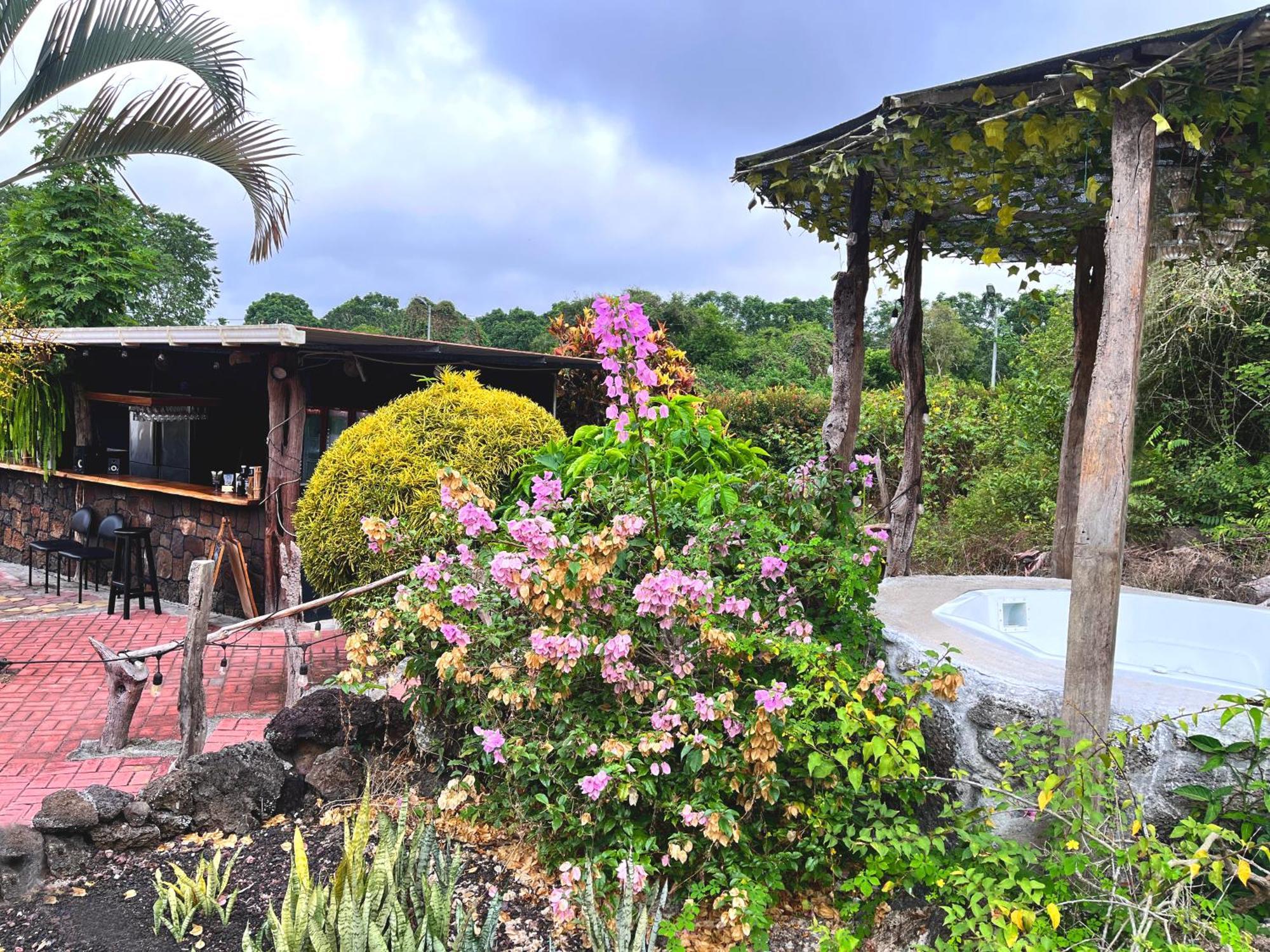 Hotel Tortuga Bay - Galapagos Puerto Ayora  Dış mekan fotoğraf